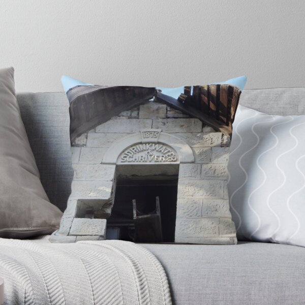 At the Peak of Disrepair Throw Pillow