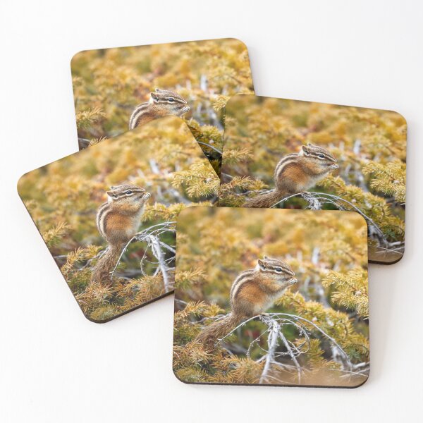 Item preview, Chipmunk eating designed and sold by stevewhitephoto.