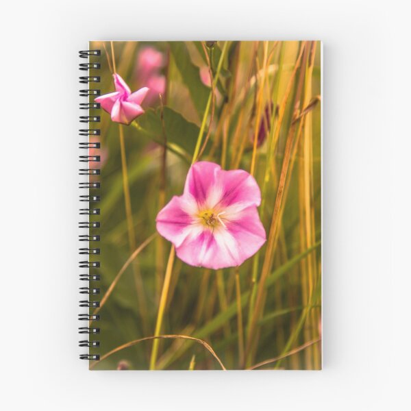 Item preview, Pink and white flower of the fields designed and sold by Stéphane  Thirion.