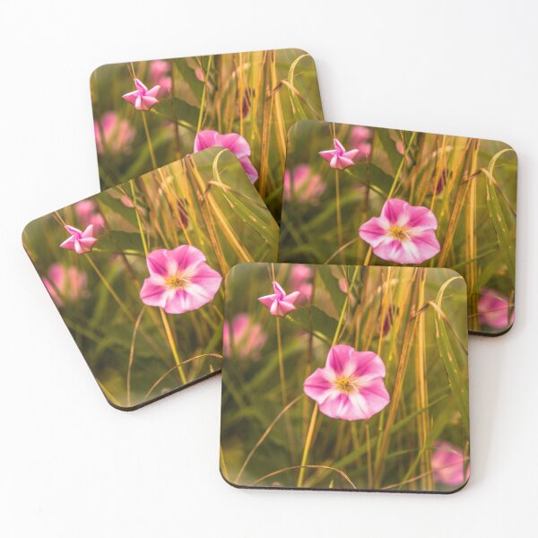 Item preview, Pink and white flower of the fields designed and sold by Stéphane  Thirion.