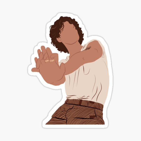 Wonder Shawn Mendes Sticker