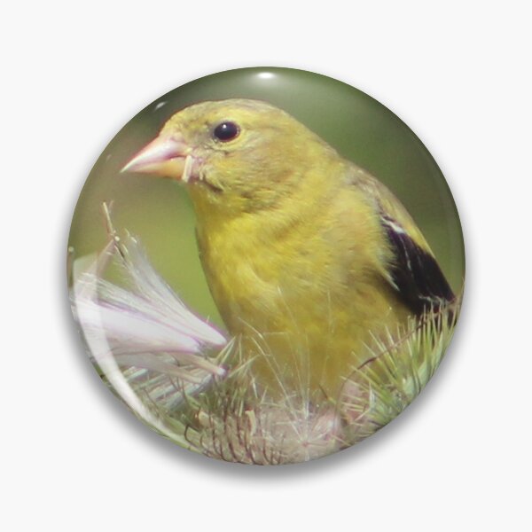 Item preview, Finch designed and sold by traceh38.