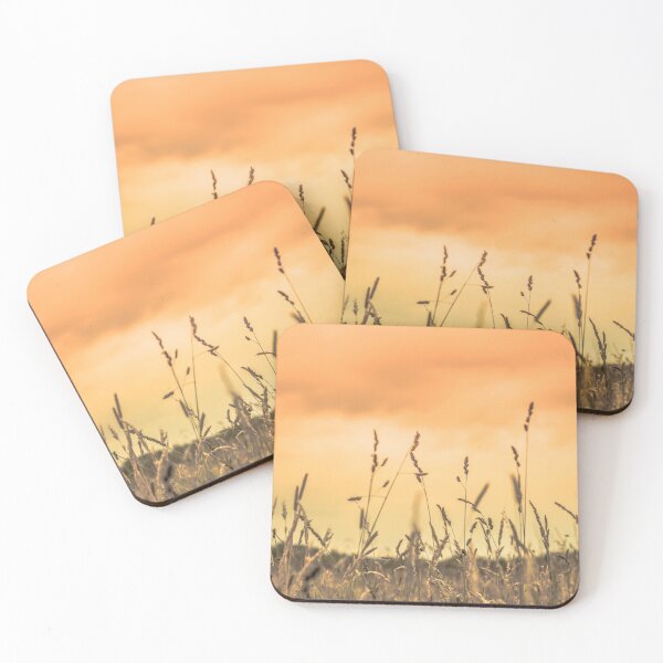 Item preview, Field plants and sunset designed and sold by Stéphane  Thirion.