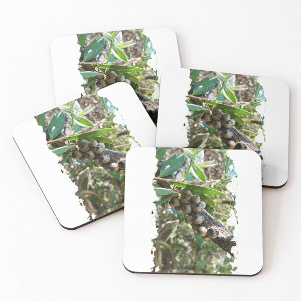 Item preview, Bottlebrush designed and sold by TheArtOfTreble.