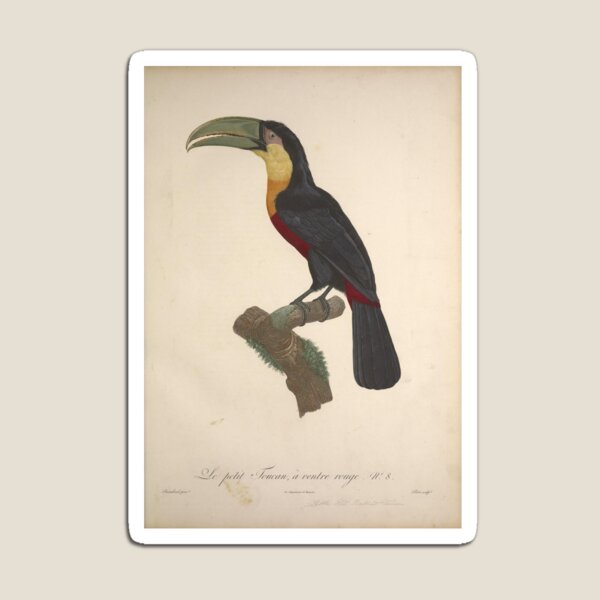 Item preview, Natural history of birds of paradise designed and sold by Bird-Lore.