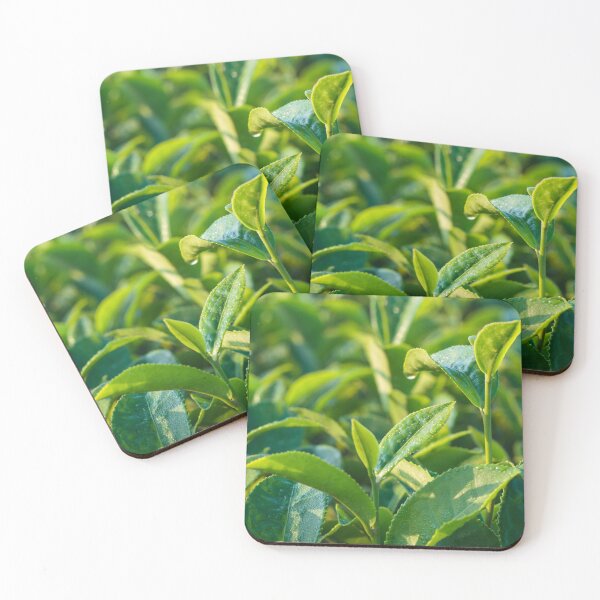 Item preview, natural tea leaf designed and sold by Artsy Aura ⭐⭐⭐⭐⭐  .