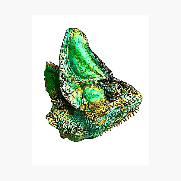 Fotodrucke Chameleon Redbubble