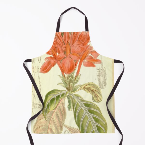 Item preview, Aphelandra fascinator 137 8398 designed and sold by EsotericBotanic.