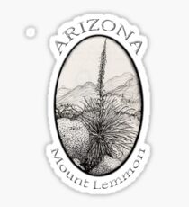 A Desert Scene North of Mount Lemmon, Arizona Sticker