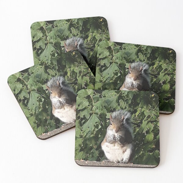 Item preview, Squirrel eating facing the camera  designed and sold by Emma  Amies.