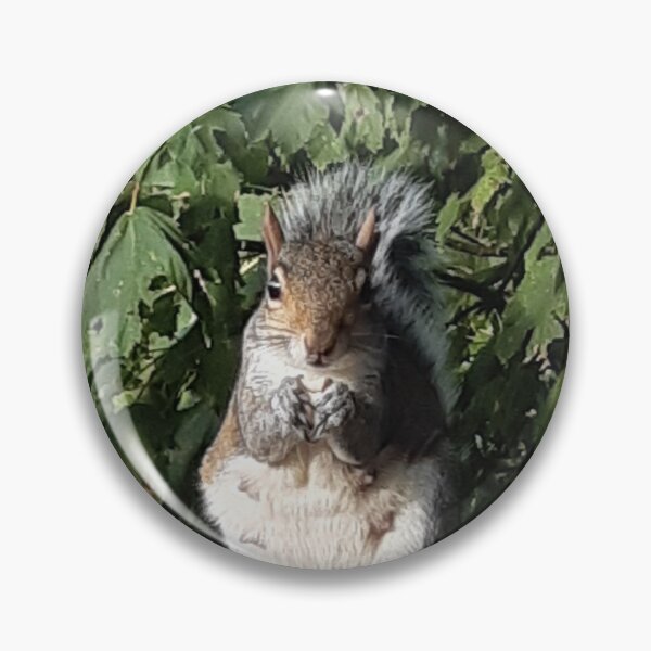 Item preview, Squirrel eating facing the camera  designed and sold by Emma  Amies.