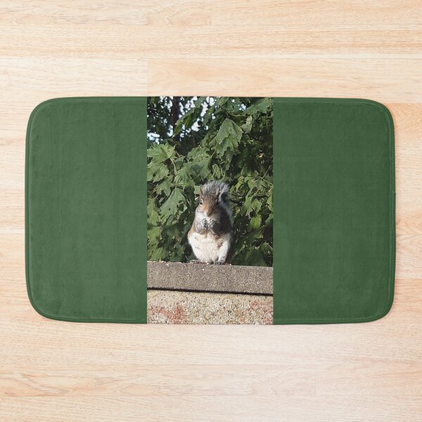 Item preview, Squirrel eating facing the camera  designed and sold by Emma  Amies.