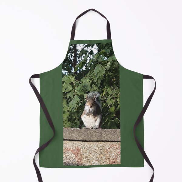 Item preview, Squirrel eating facing the camera  designed and sold by Emma  Amies.