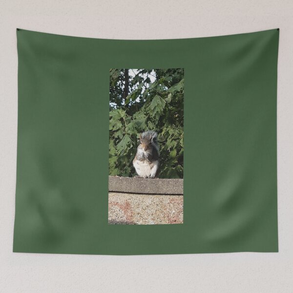 Item preview, Squirrel eating facing the camera  designed and sold by Emma  Amies.