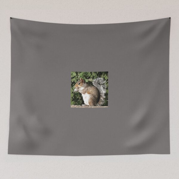 Item preview, Squirrel eating designed and sold by Emma  Amies.