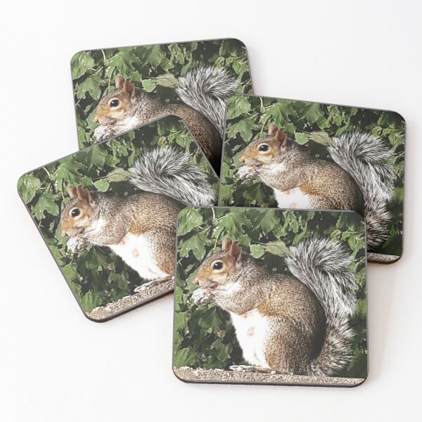 Item preview, Squirrel eating designed and sold by Emma  Amies.