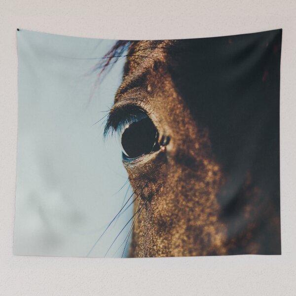 Item preview, Horse photography, horses fine art, nature lovers, wild stallion, hasselblad designed and sold by Spallutos.