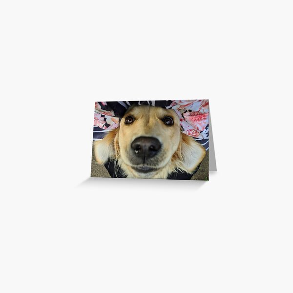 Happiness is a golden retriever Greeting Card