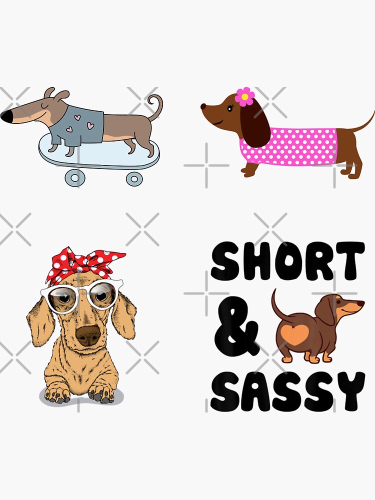 Funny Dachshunds Cute Sausage Dog Mom Gift Bundle,Pack by KostaGe