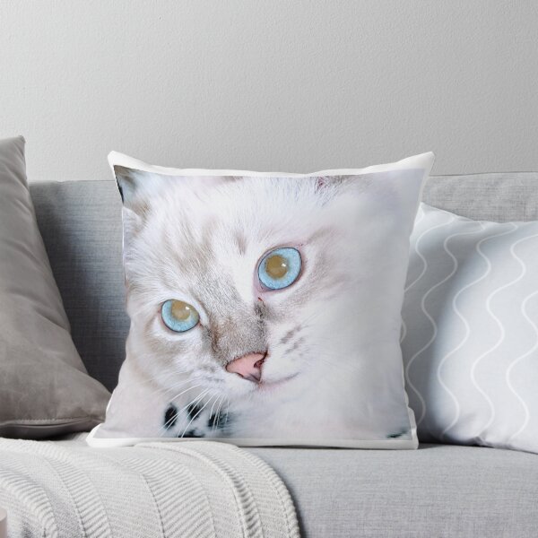 Item preview, Ragdoll face designed and sold by Fluffycat2020.