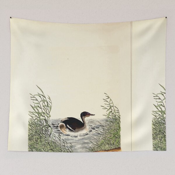 Item preview, British ornithology  being the history with a coloured representation of every known species of British birds George Graves 1821 133 designed and sold by WetdryvacRB01.