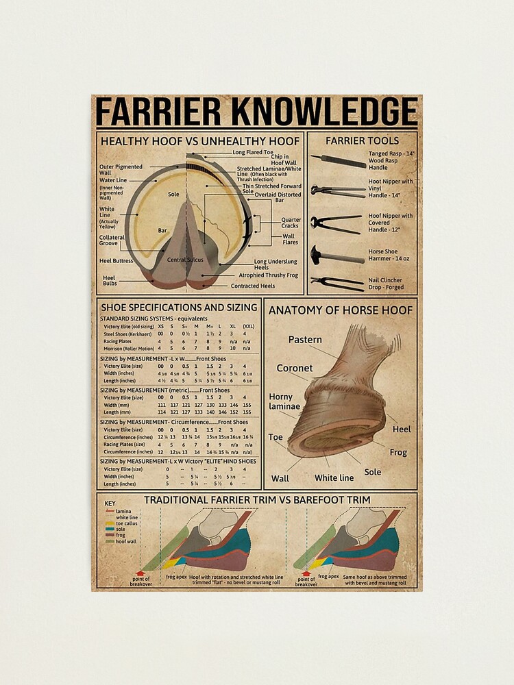 "Farrier Knowledge" Photographic Print for Sale by KnowledgeArt Redbubble