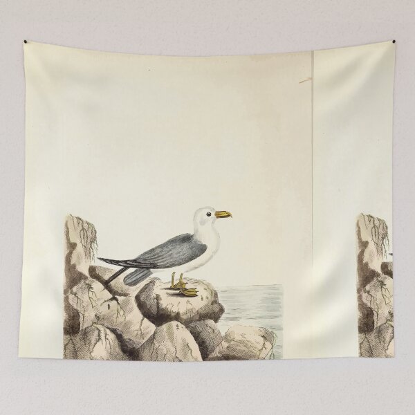 Item preview, British ornithology  being the history with a coloured representation of every known species of British birds George Graves 1821 136 designed and sold by WetdryvacRB01.