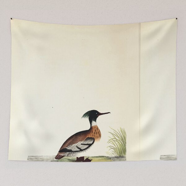 Item preview, British ornithology  being the history with a coloured representation of every known species of British birds George Graves 1821 137 designed and sold by WetdryvacRB01.