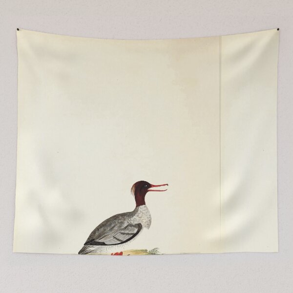 Item preview, British ornithology  being the history with a coloured representation of every known species of British birds George Graves 1821 138 designed and sold by WetdryvacRB01.