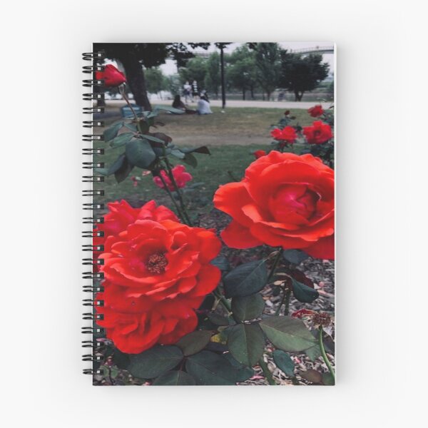 Item preview, Roses by the Han River designed and sold by WordenJin.