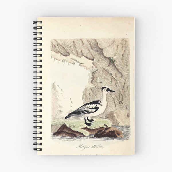 Item preview, British ornithology  being the history with a coloured representation of every known species of British birds George Graves 1821 139 designed and sold by WetdryvacRB01.