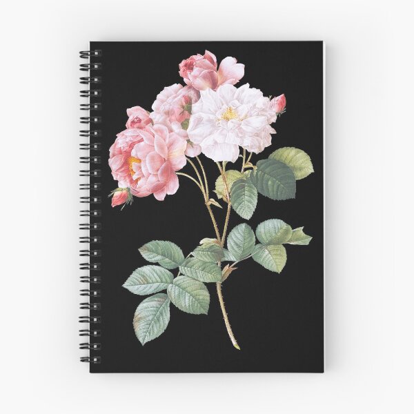 Item preview, Rosa × damascena, Rosebush (Rosa damascena) designed and sold by domdjs4239.
