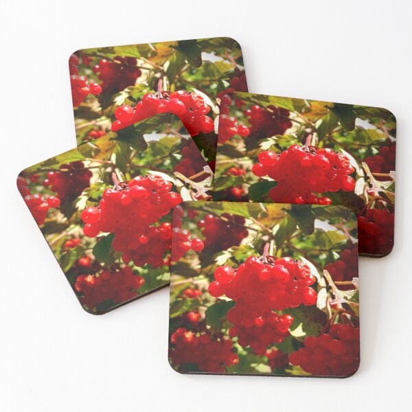 Item preview, autumn viburnum designed and sold by Mandi Collingridge.