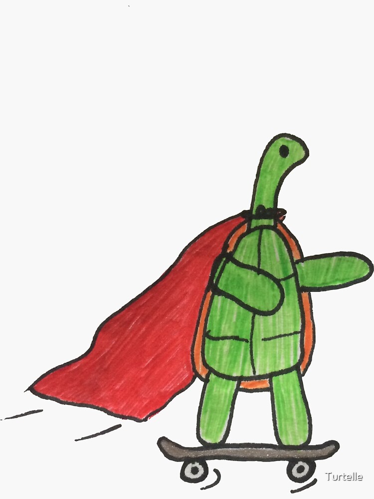 Skateboard Turtle by Turtelle