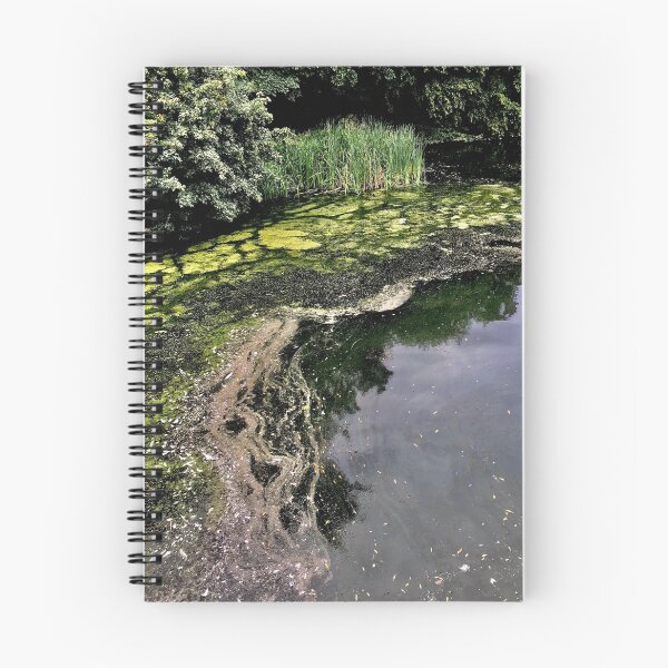 Item preview, algae designed and sold by Mandi Collingridge.