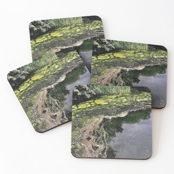 Item preview, algae designed and sold by Mandi Collingridge.