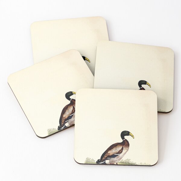Item preview, British ornithology  being the history with a coloured representation of every known species of British birds George Graves 1821 142 designed and sold by WetdryvacRB01.
