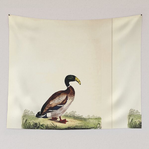 Item preview, British ornithology  being the history with a coloured representation of every known species of British birds George Graves 1821 142 designed and sold by WetdryvacRB01.