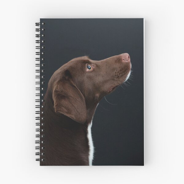 Item preview, Loyal designed and sold by Sunniva Lervik.