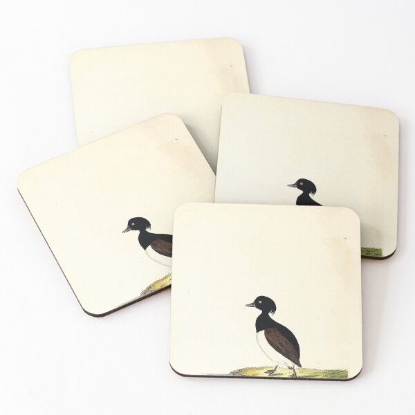 Item preview, British ornithology  being the history with a coloured representation of every known species of British birds George Graves 1821 143 designed and sold by WetdryvacRB01.