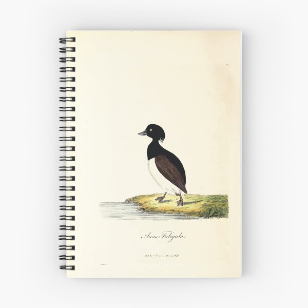 Item preview, British ornithology  being the history with a coloured representation of every known species of British birds George Graves 1821 143 designed and sold by WetdryvacRB01.