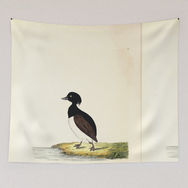 Item preview, British ornithology  being the history with a coloured representation of every known species of British birds George Graves 1821 143 designed and sold by WetdryvacRB01.