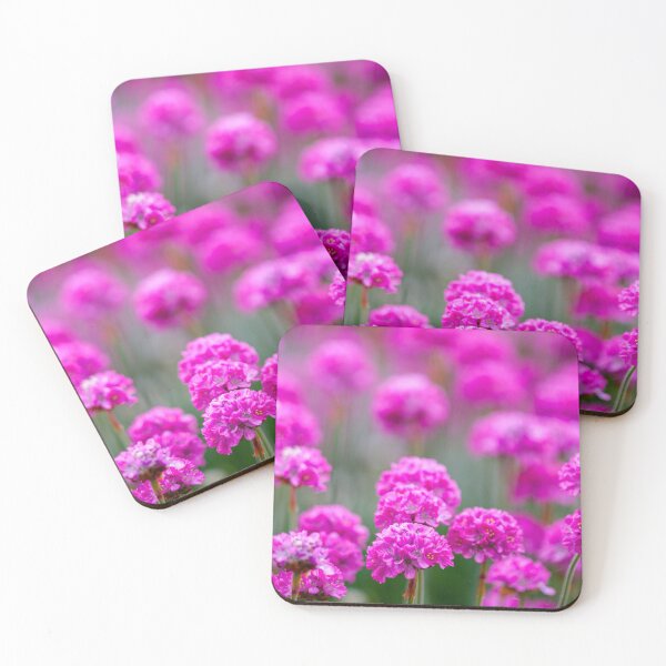 Item preview, Pink sea thrift flowers designed and sold by iCimages.net.