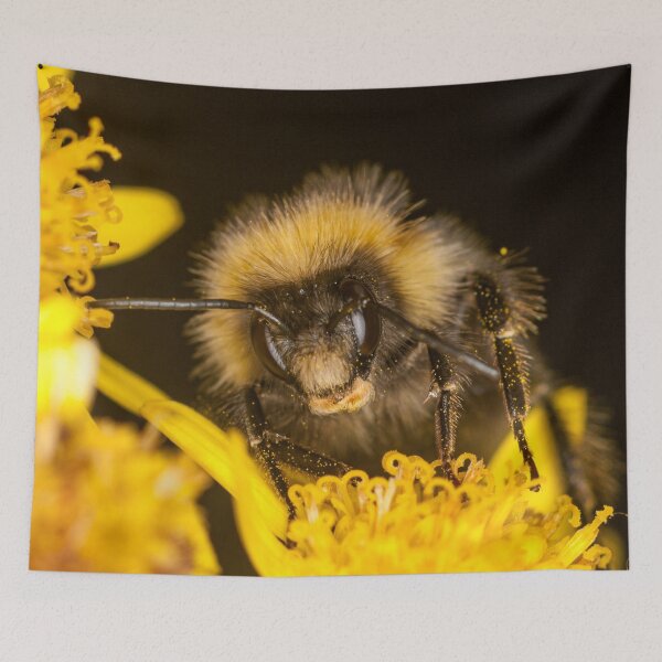 Item preview, A big bumble bee on a yellow flower. designed and sold by iCimages.net.
