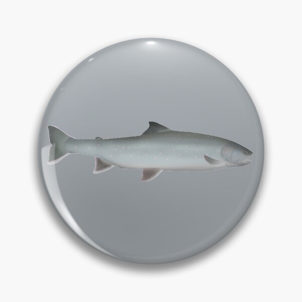 Artikelvorschau, Weißer Saibling entworfen und verkauft von fishfolkart.