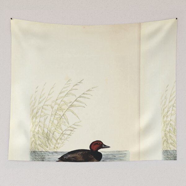 Item preview, British ornithology  being the history with a coloured representation of every known species of British birds George Graves 1821 144 designed and sold by WetdryvacRB01.