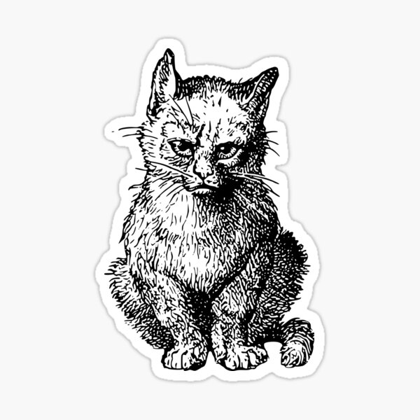 Aperçu de l'œuvre Chaton pas content créée et vendue par lhwayj.
