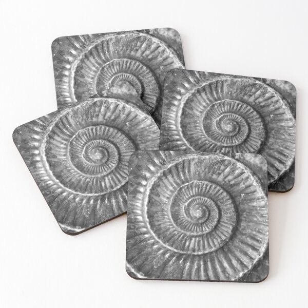 Item preview, Ammonite Fossil designed and sold by fizzypoptees.