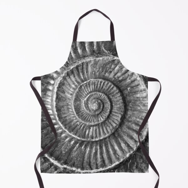Item preview, Ammonite Fossil designed and sold by fizzypoptees.