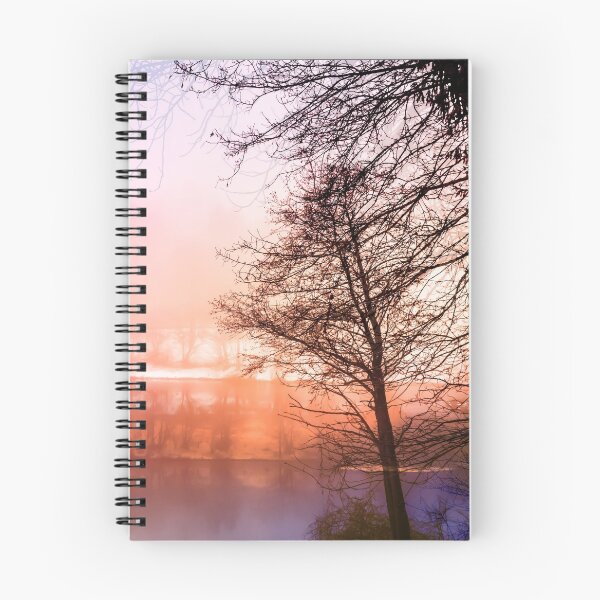 Item preview, Tree shadow and colorful reflections designed and sold by Stéphane  Thirion.